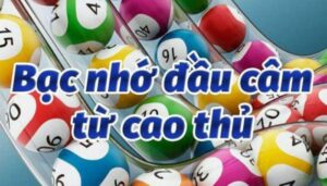 Khái Niệm Bạc Nhớ Đầu Câm Cùng Những Cách Bắt Siêu Chính Xác